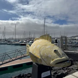 Corralejo Marina - Corralejo