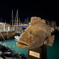 Corralejo Marina - Corralejo