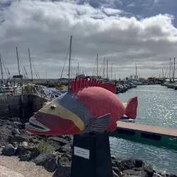 Corralejo Marina - Corralejo