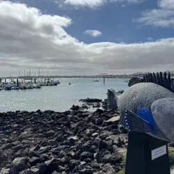 Corralejo Marina - Corralejo