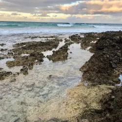El Burro Beach - Corralejo