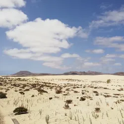 Flag Beach - Corralejo