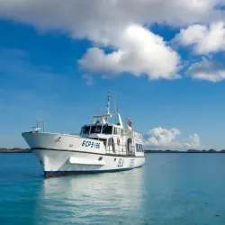Isla de Lobos - Corralejo