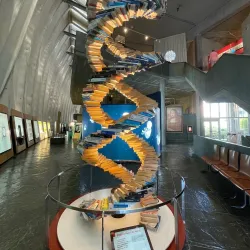 Domus (House of Man) - Corunna