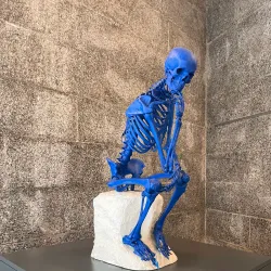 Domus (House of Man) - Corunna