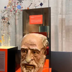 Domus (House of Man) - Corunna