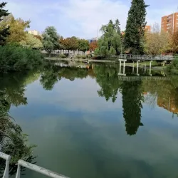 Parque de la Rambla - Coslada