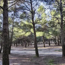 Parque del Humedal - Coslada
