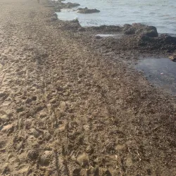 Les Marines Beach - Denia