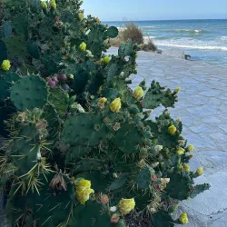 Playa de Les Rotes - Denia