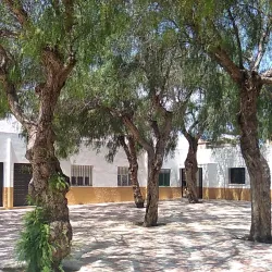 Iglesia de Santa María del Mar - El Ejido