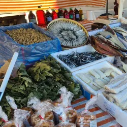 Mercado Municipal de El Ejido - El Ejido