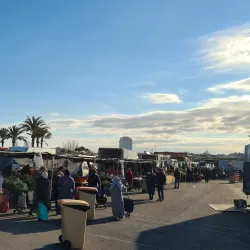 Mercado Municipal de El Ejido - El Ejido