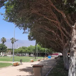 Parque Municipal de El Ejido - El Ejido