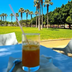 Parque Municipal de El Ejido - El Ejido