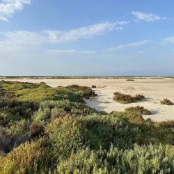 Parque Natural Punta Entinas-Sabinar - El Ejido