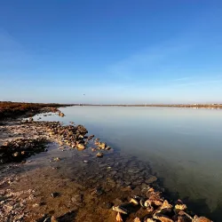 Parque Natural Punta Entinas-Sabinar - El Ejido