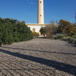 Parque Natural Punta Entinas-Sabinar - El Ejido