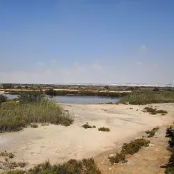Parque Natural Punta Entinas-Sabinar - El Ejido