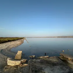 Parque Natural Punta Entinas-Sabinar - El Ejido