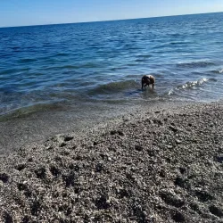 Parque Natural Punta Entinas-Sabinar - El Ejido