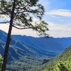 Caldera de Taburiente National Park - El Paso
