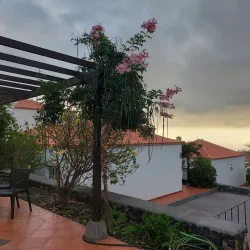 El Paso Town Center - El Paso