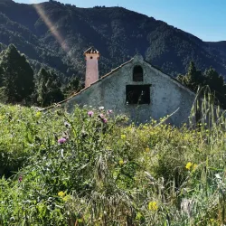 El Paso Town Center - El Paso