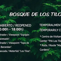 Los Tilos Forest - El Paso