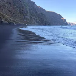 Los Tilos Forest - El Paso