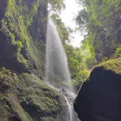 Los Tilos Forest - El Paso