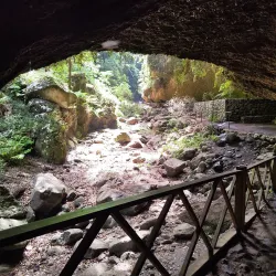 Los Tilos Forest - El Paso