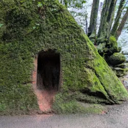 Los Tilos Forest - El Paso