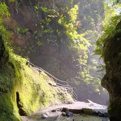 Los Tilos Forest - El Paso