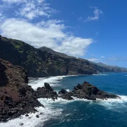 Los Tilos Forest - El Paso