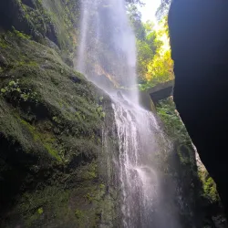 Los Tilos Forest - El Paso