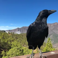 Mirador de La Cumbrecita - El Paso