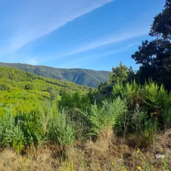 Parque Natural de Cumbre Vieja - El Paso