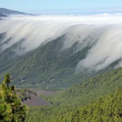 Parque Natural de Cumbre Vieja - El Paso