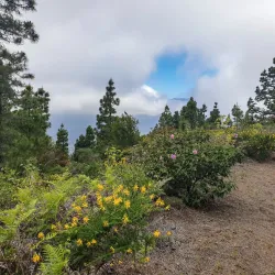 Parque Natural de Cumbre Vieja - El Paso