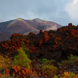 Parque Natural de Cumbre Vieja - El Paso