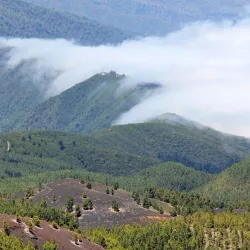 Parque Natural de Cumbre Vieja - El Paso