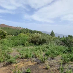 Parque Natural de Cumbre Vieja - El Paso
