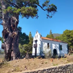 Parroquia de Nuestra Señora del Pino - El Paso