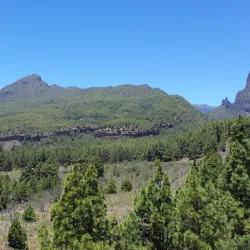 Parroquia de Nuestra Señora del Pino - El Paso