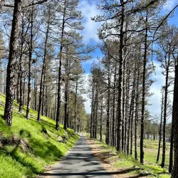 Ruta de los Volcanes - El Paso