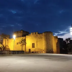 Altamira Palace (Palacio de Altamira) - Elche