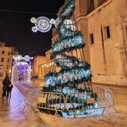 Basilica of Santa Maria - Elche