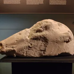 Elche Archaeological and History Museum - Elche