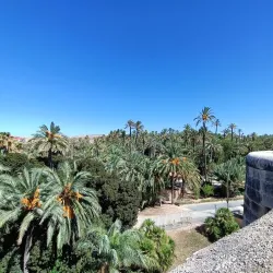 Elche Mystery Play Museum - Elche